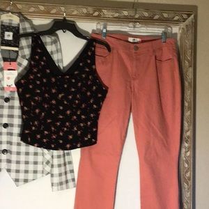 CAbi #5311 Brick Dust Curvy Skinny NWOT